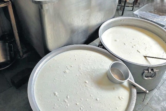 Đột kích một nhà máy lúc 9 giờ tối, công an triệt phá đường dây sản xuất sữa giả từ hóa chất, tịch thu dầu thực vật, sorbitol và máy pha trộn công nghiệp