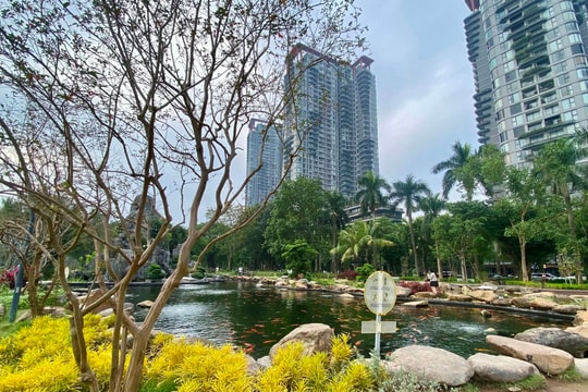 Giá nhà leo thang, người trẻ chuyển hướng tài chính để tiến gần giấc mơ an cư