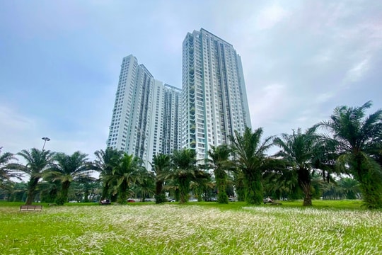 Tại sao  phân khúc cao cấp chiếm chủ đạo thị trường bất động sản?