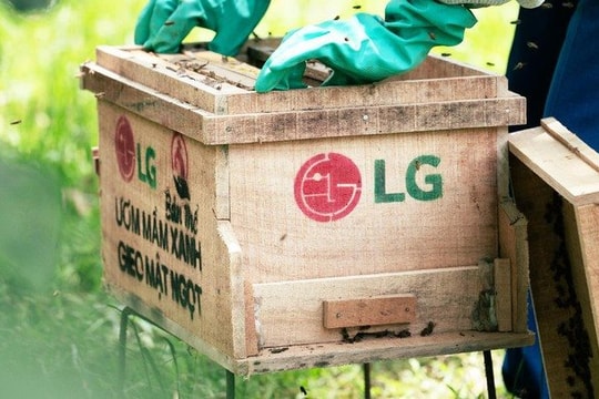 Đại sứ Cộng đồng LG 2025: Hành trình cùng cộng đồng kiến tạo tương lai bền vững