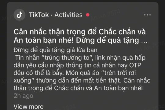 TikTok gửi cảnh báo lừa đảo trực tuyến trực tiếp trong ứng dụng