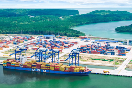 Sở hữu cảng 11.000 tỷ vẫn không được phép nhập khẩu mặt hàng quan trọng, Đồng Nai quyết "xin" quyền