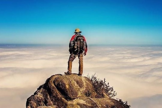 Một doanh nghiệp đầu ngành được dự báo lợi nhuận 2026 lập đỉnh mới, cổ tức có thể đạt 17.000 đồng/cp