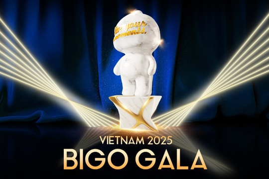 Có gì tại BIGO Gala Việt Nam 2025?