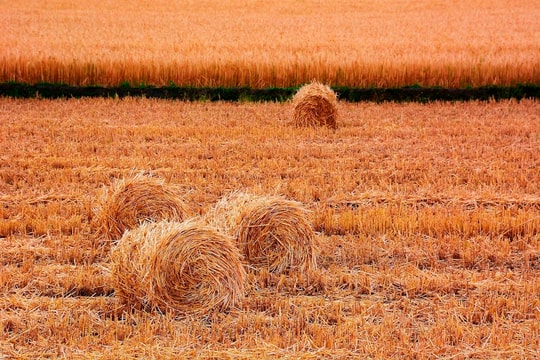 Việt Nam mang tiến bộ kỹ thuật quan trọng, cùng khai mở tiềm năng của "mỏ vàng" kinh tế xanh, sản lượng gần 100 triệu tấn mỗi năm