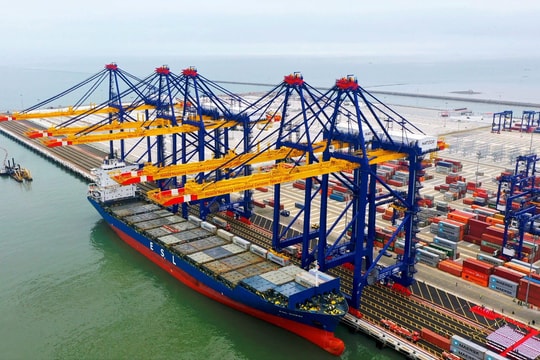 Tập đoàn vận tải top đầu thế giới muốn xây cảng biển tại Việt Nam