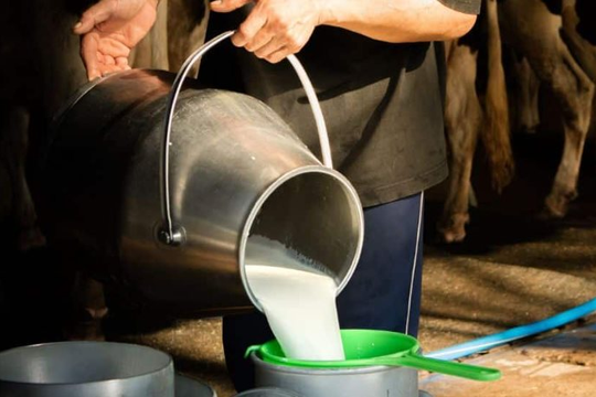 Đột kích vào nhà dân, cảnh sát triệt phá đường dây sữa giả chỉ hoạt động vào đêm và sáng sớm, tiêu hủy 400 lít sữa pha chế từ hóa chất