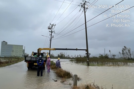 Tổng công ty Điện lực miền Trung thông báo: Hơn 553.000 khách hàng mất điện, Đắk Lắk thiệt hại nặng nhất