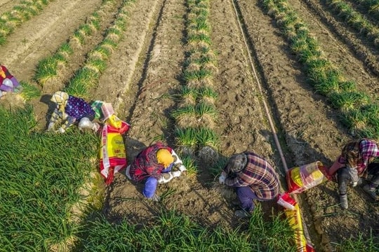 Bị phương Tây mạnh tay áp thuế xe điện, Trung Quốc lập tức tung món ‘võ cổ truyền’ từng trăm trận trăm thắng - bây giờ ai mới đang gặp áp lực?