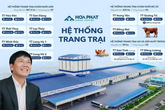 Bí mật 10.700 tỷ: Giải mã cách Tỷ phú Trần Đình Long nuôi heo, bò, gà đạt tỷ suất sinh lời gấp đôi đối thủ