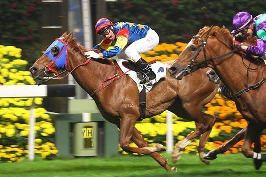 UBCKNN “bật đèn xanh”, SSI sắp tăng vốn điều lệ vượt TCBS, lấy lại “ngôi vương” ngành chứng khoán