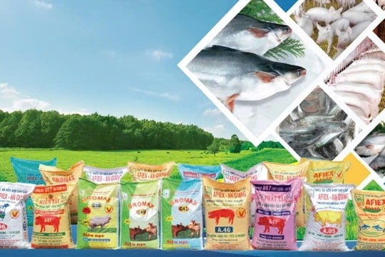 Động thái mới của ông lớn xuất khẩu gạo An Giang 