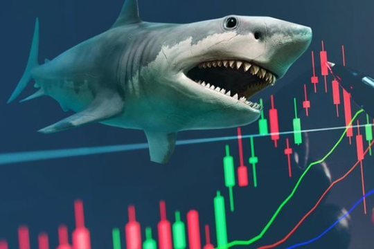 Thực hư chuyện quỹ ngoại quy mô 500 triệu USD phải bán toàn bộ danh mục cổ phiếu Việt Nam khi nâng hạng