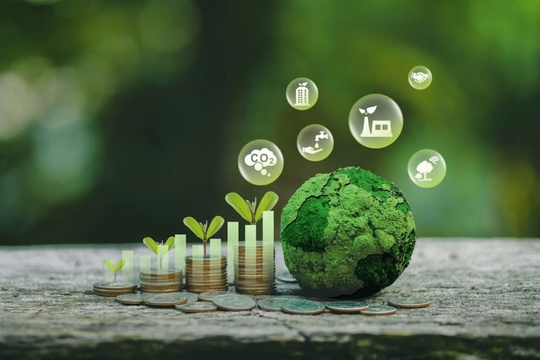 Doanh nghiệp Việt Nam tăng cường cam kết phát triển bền vững để thúc đẩy tăng trưởng 