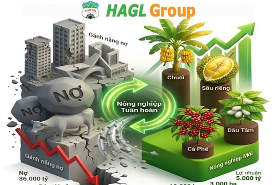 Từ bán nhà cũng phải trồng cao su, mất ngủ vì heo ăn chuối, bầu Đức sắp xoay trục sang sản phẩm chủ lực mới?