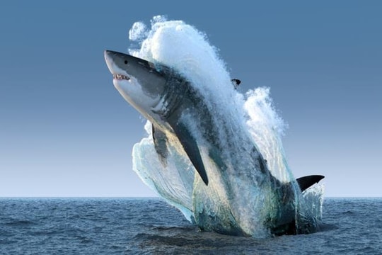 Chuyên gia dự báo nhóm cổ phiếu sẽ "dẫn sóng" thị trường năm 2026