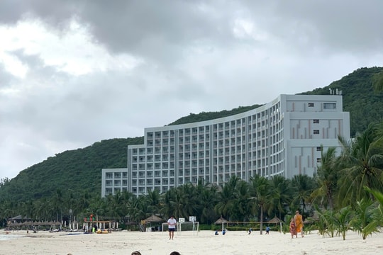 17 con vịt bị lũ cuốn trôi vào resort của ông Phạm Nhật Vượng: Vinpearl Nha Trang tổ chức thi đặt tên, thưởng 17 cặp vé