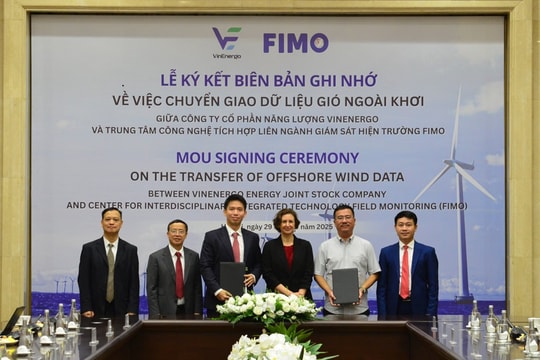 VinEnergo của tỷ phú Phạm Nhật Vượng có "tướng" mới: Là người cũ của VinaCapital