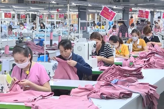 Thương mại Mỹ - Ấn gặp trắc trở, một ngành hàng chủ lực của Việt Nam lại được gọi tên 