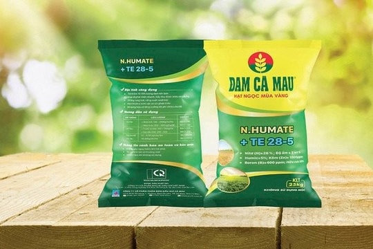 Đạm Cà Mau nâng gấp đôi chỉ tiêu lợi nhuận 2025 lên 1.448 tỷ đồng