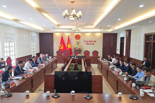 Tin vui cho Gia Lai: Liên doanh DHN muốn mở rộng dự án nông nghiệp công nghệ cao trên địa bàn