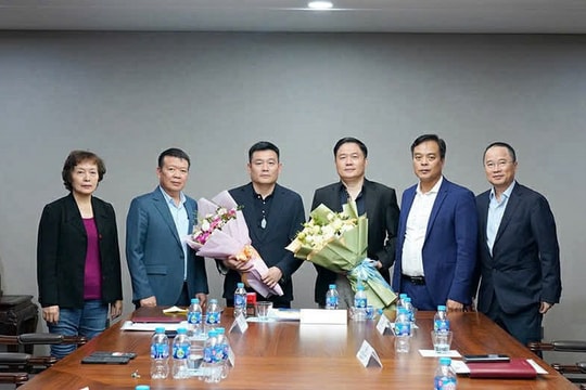 Biến động thượng tầng tại CONINCO 