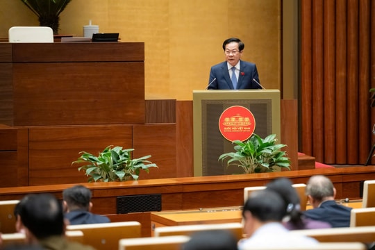 Viên chức chính thức được góp vốn và tham gia điều hành doanh nghiệp