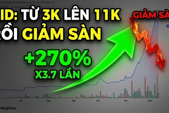 Biến lớn tại công ty vừa chuyển Nhà máy điện gió 9.000 tỷ cho Vingroup