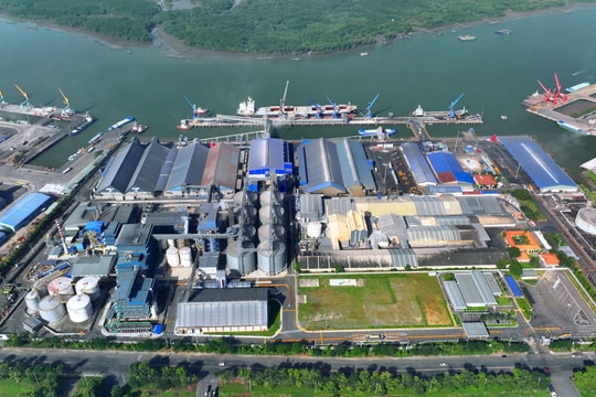 Hai tập đoàn tỷ đô rót thêm 100 triệu USD vào Việt Nam, TP.HCM sở hữu nhà máy dầu dậu nành lớn nhất Đông Nam Á