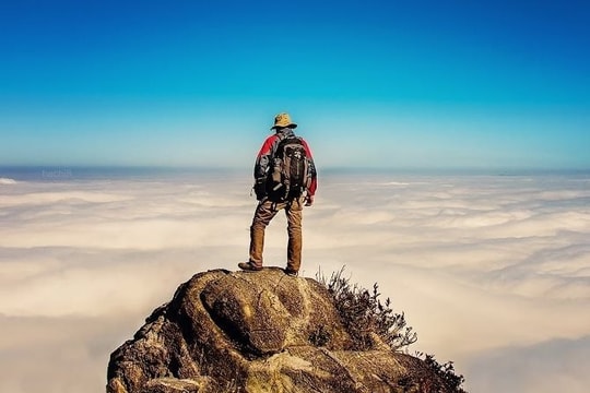 VN-Index giảm mạnh nhất châu Á, một “ông lớn” ngược dòng phá đỉnh lịch sử