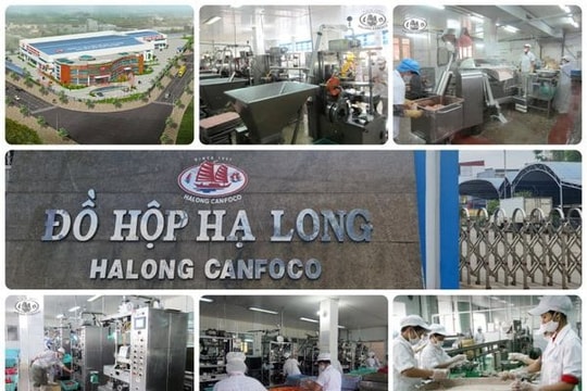 Đồ hộp Hạ Long (CAN) đầu tư hơn 166 tỷ đồng để đầu tư nhà máy mới tại Hải Phòng