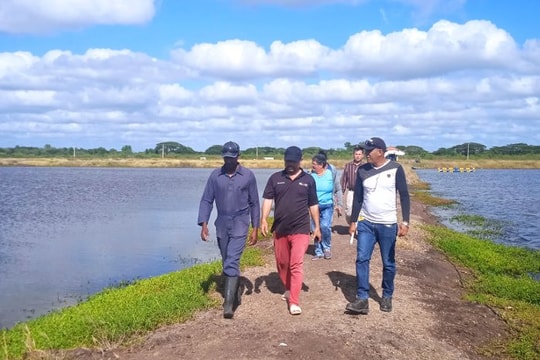 Hơn 120 ngày thử nghiệm, 'sản vật tỷ USD' của Việt Nam gây bất ngờ lớn tại Cuba