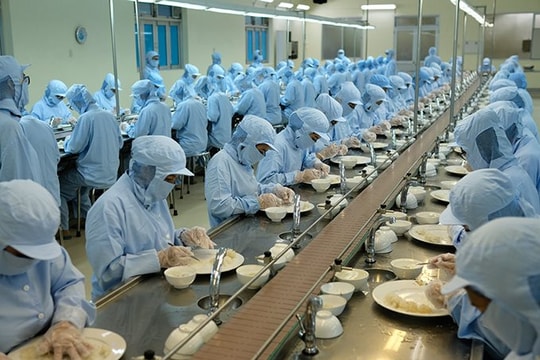 Một doanh nghiệp nhà nước giải thể 11 đơn vị và công ty con 