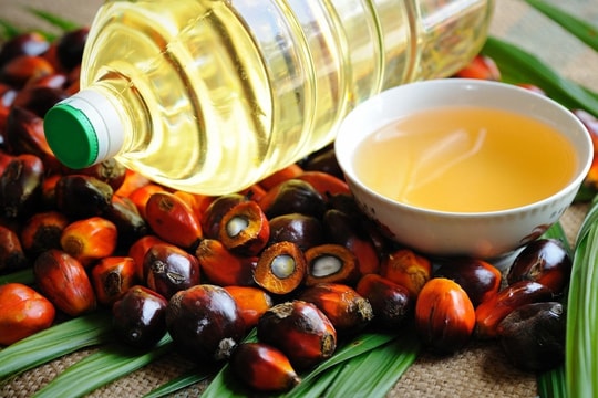Ấn Độ tăng cường nhập khẩu dầu cọ từ Đông Nam Á