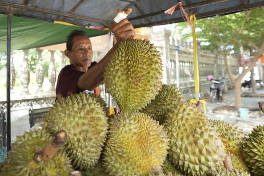Quốc gia trồng 20.000 ha sầu riêng chính thức được xuất khẩu tươi vào Trung Quốc, cạnh tranh với Thái Lan, Việt Nam