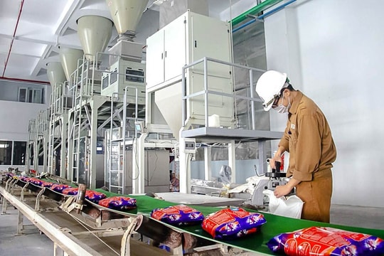 Dragon Capital không còn là cổ đông lớn tại Hóa chất Đức Giang trước khi cổ phiếu lao dốc