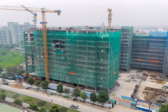 Chu kỳ mới của bất động sản 2026 tăng trưởng không đồng loạt