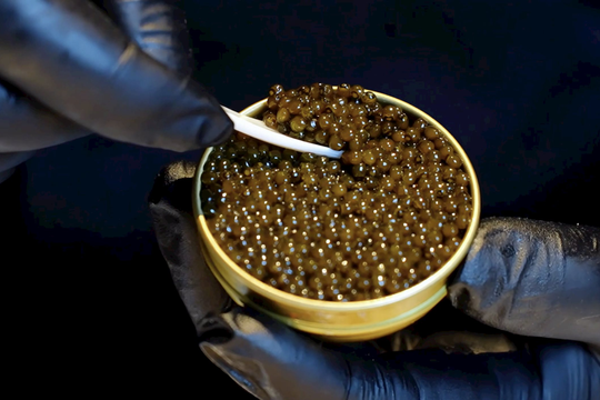 Cứ 10 hộp trứng cá muối thì 6 hộp ‘Made in China’: Trung Quốc từ kẻ vô danh thành nhà sản xuất số 1 thế giới