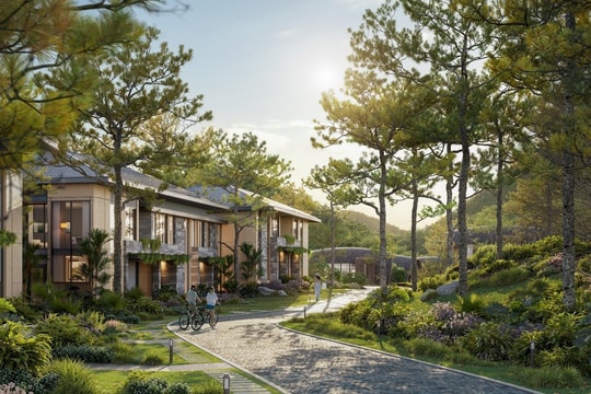 Thanh Xuan Valley: Giá trị vượt thời gian từ pháp lý sở hữu lâu dài 