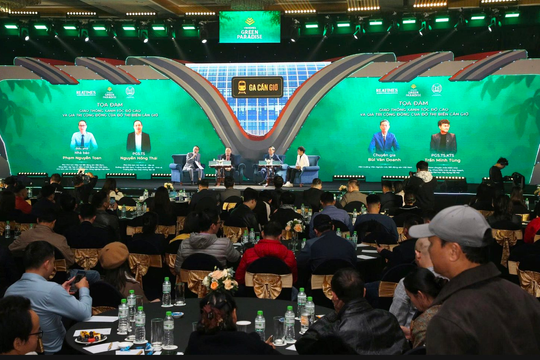 Giao thông xanh tốc độ cao mở không gian phát triển mới cho đô thị biển Cần Giờ