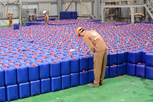 Đại dự án 12.000 tỷ của Hóa chất Đức Giang (DGC) hoàn thành 95% GĐ1, phát động kế hoạch 100 ngày cao điểm kịp hoàn thành ngay quý sau