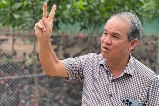 Công ty đặc biệt của Bộ Tài chính trở thành chủ nợ lớn của Hoàng Anh Gia Lai