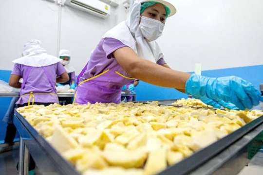 Đối thủ sầu riêng Việt Nam, Thái Lan bất ngờ đón tin buồn: Nhiều giống cao cấp giá thấp nhất 10 năm, nhà vườn lao đao
