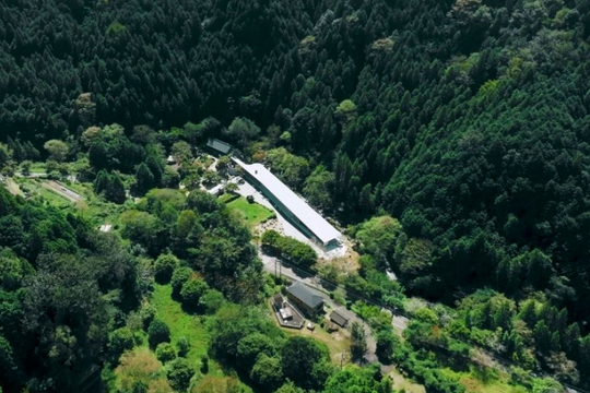 Đôi vợ chồng chi hơn 12 tỷ đồng mua mảnh đất 16.000m2 để nghỉ hưu sớm: “1 năm sau tôi phải quay lại thành phố, mọi thứ khác xa tưởng tượng”