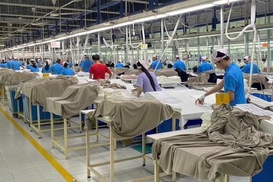 Tin vui: 7 DN ở TP HCM tiếp nhận hơn 2.700 công nhân mất việc trước Tết từ công ty Hàn Quốc