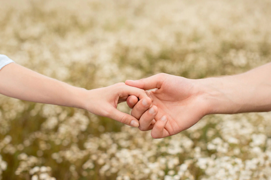 Loại gia vị “nhỏ hơn ngón tay” mang về 2.600 tỷ cho Việt Nam