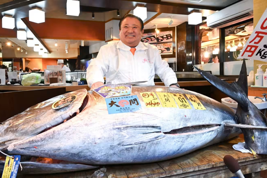 Cận cảnh con cá ngừ giá 83 tỷ đồng: Khi các đại gia Nhật Bản "so găng" từng đồng lẻ
