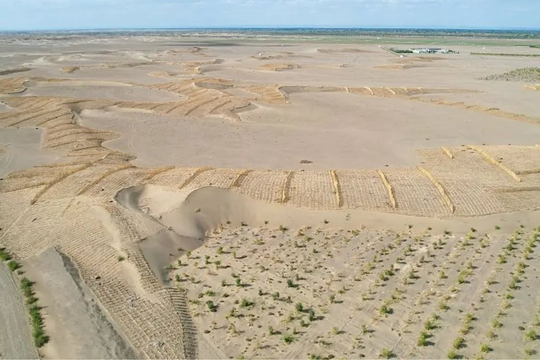 Phát minh chưa từng có trên thế giới của Trung Quốc: Không cần trồng cây vẫn phục hồi hàng nghìn hecta sa mạc, hiệu quả cao nhưng chi phí thấp