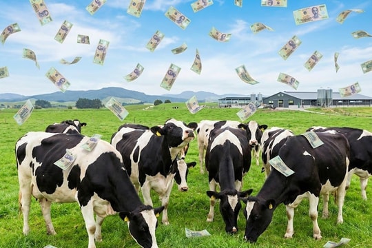 Một đại gia sữa chốt quyền chia cổ tức 25%, tiền về tài khoản ngay sát Tết