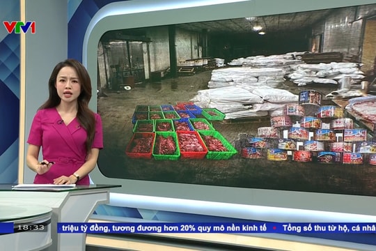 Vụ 120 tấn thịt lợn bốc mùi tập kết tại kho của Đồ hộp Hạ Long: Công an Hải Phòng chính thức khởi tố